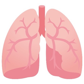 呼吸器疾患について